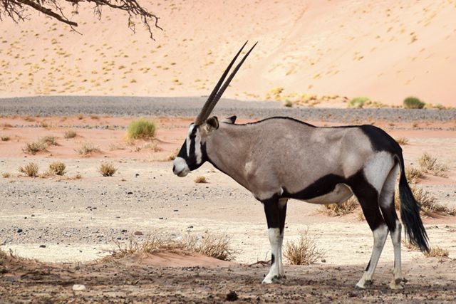 Namibia_Maslul_1