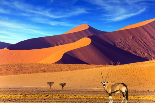 Namibia_Maslul_photos2026-1