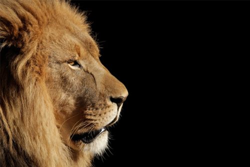 Namibia_Maslul_photos2026-10