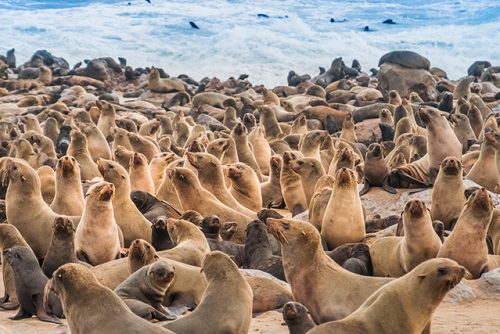 Namibia_Maslul_photos2026-3