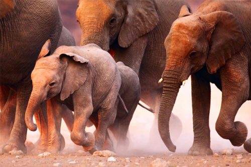 Namibia_Maslul_photos2026-6