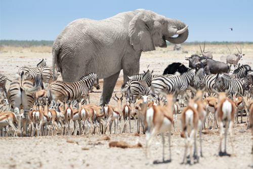 Namibia_Maslul_photos2026-8