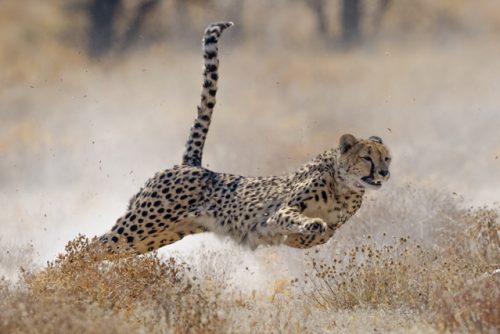 Namibia_Maslul_photos2026-9