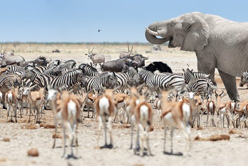 namibia2