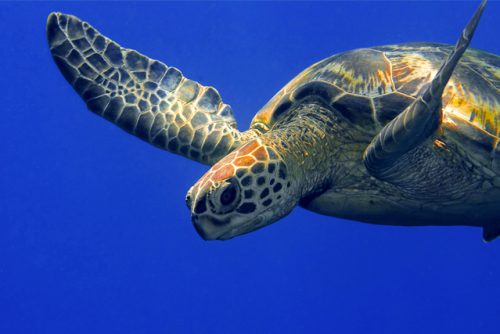 מאגמה13-תמונות-מסלול-פיליפינים-10