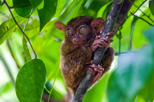 מאגמה13-תמונות-מסלול-פיליפינים-9