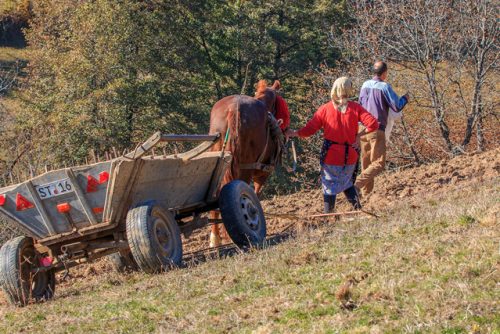 תמונות-מסלול-לאתר-סרביה-רומניה8